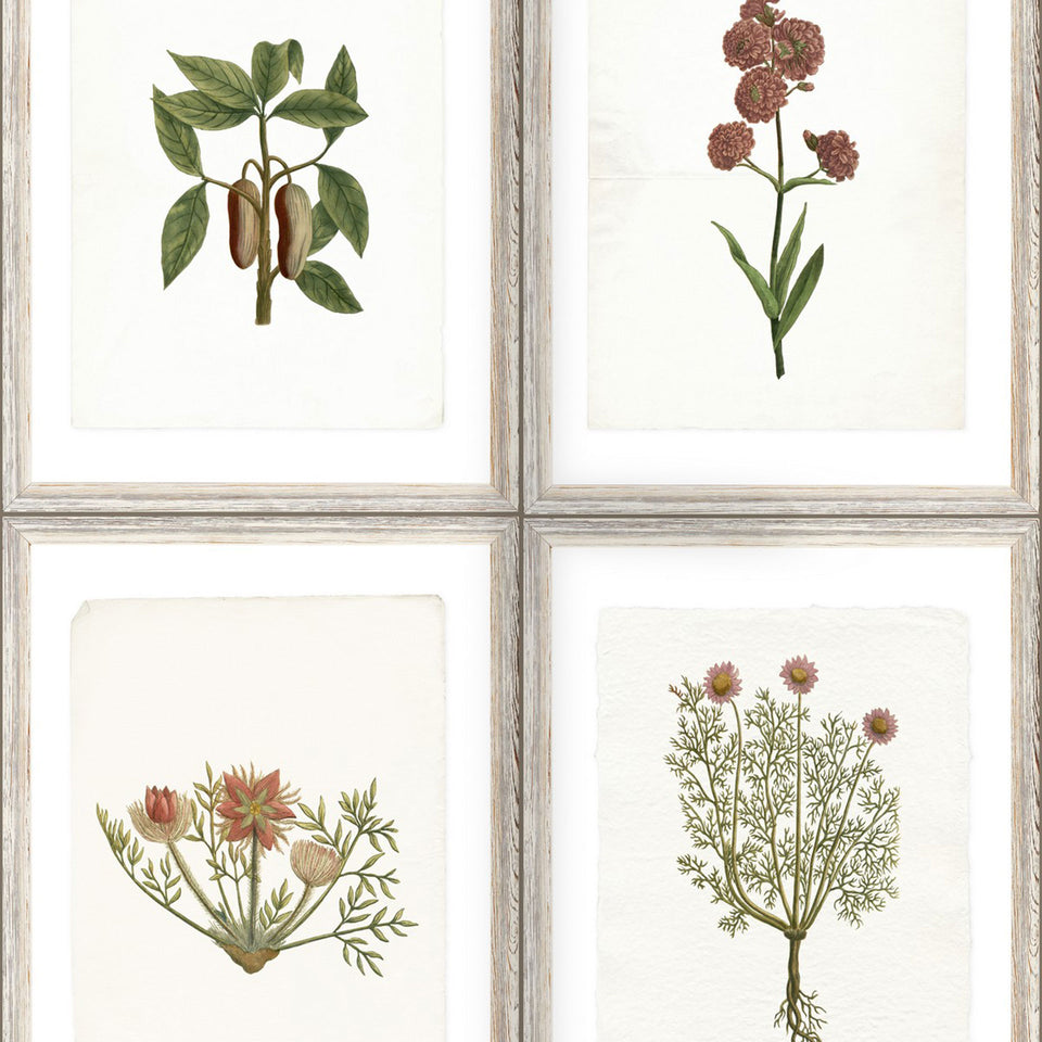 Botany Wallpaper by MINDTHEGAP