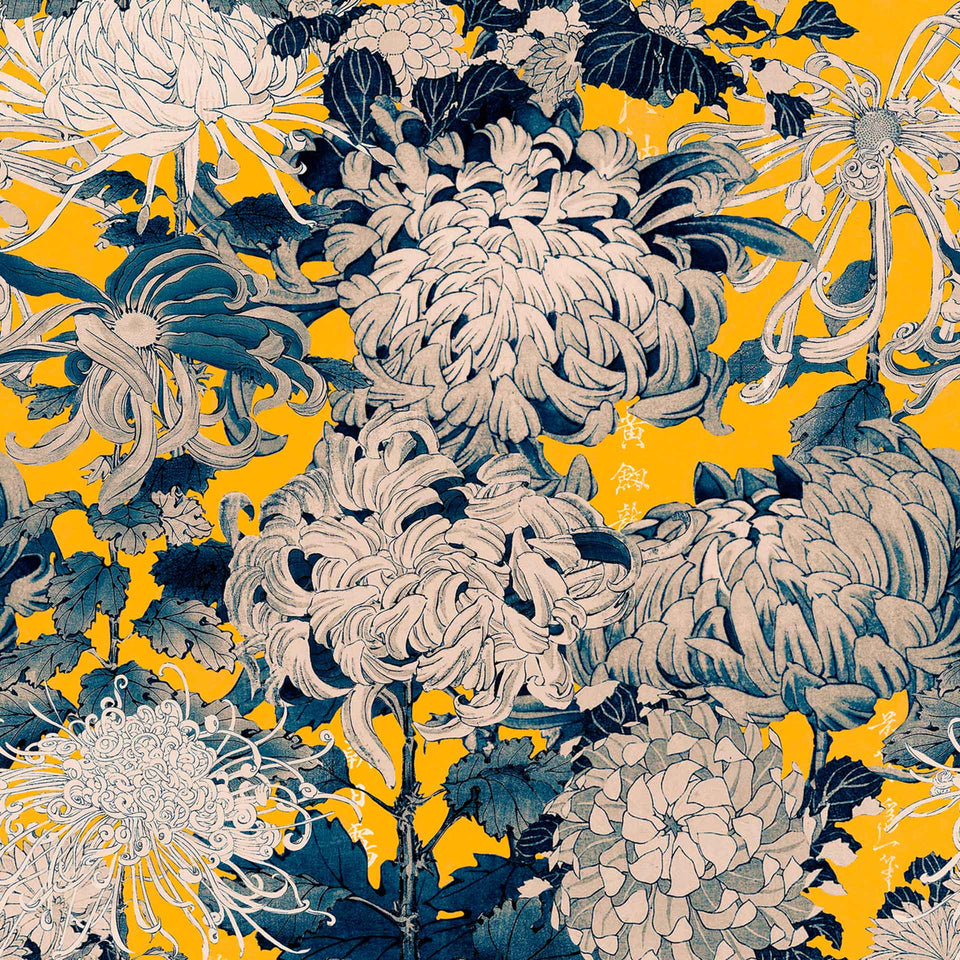 Chrysanthemums Wallpaper by MINDTHEGAP