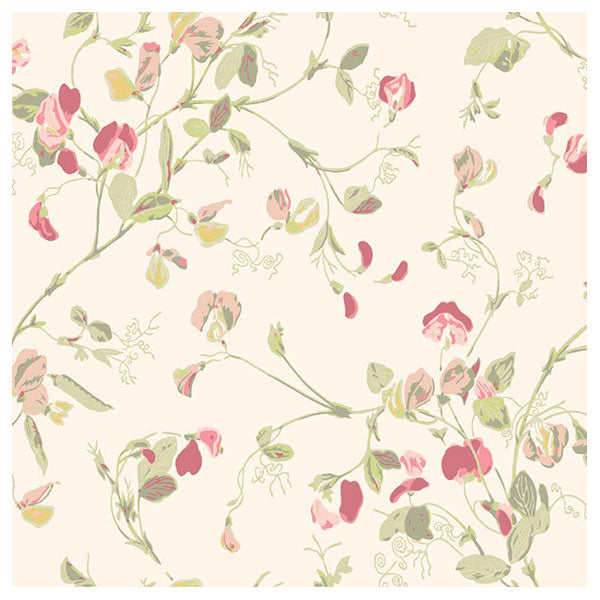 Sweet Pea in Blush & Olive on Cream Wallpaper by Cole & Son