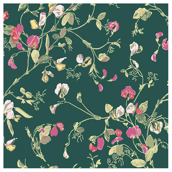 Sweet Pea in Cerise & Magenta on Viridian Wallpaper by Cole & Son