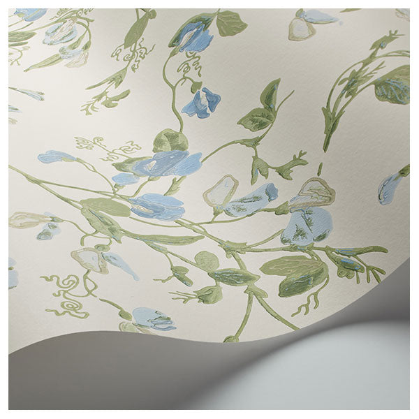 Sweet Pea in Cerulean Sky & Sage on White Wallpaper by Cole & Son