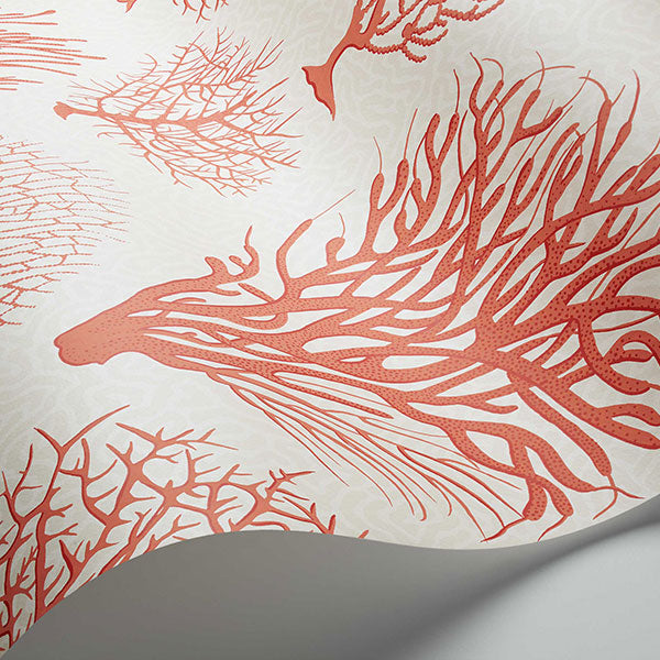 Seafern in Coral Wallpaper by Cole & Son