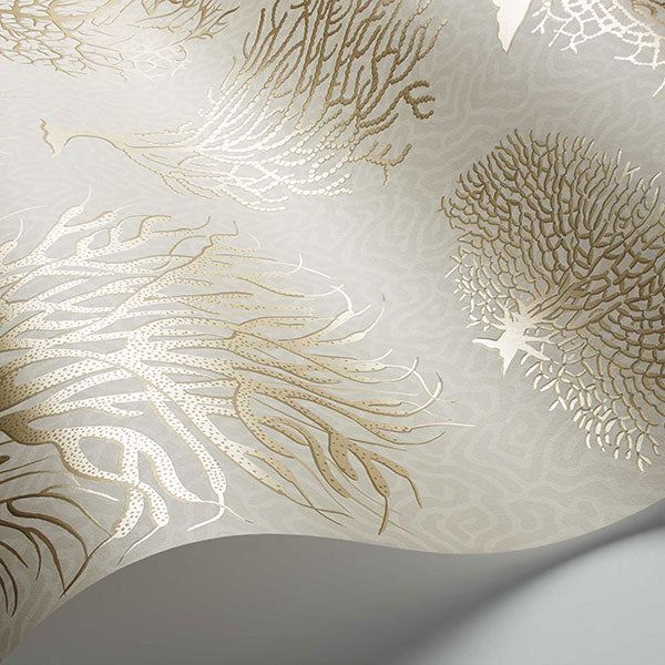 Seafern in Stone Wallpaper by Cole & Son