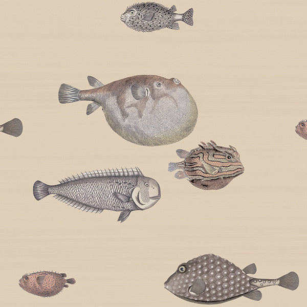Fornasetti Acquario - Taupe Wallpaper by Cole & Son