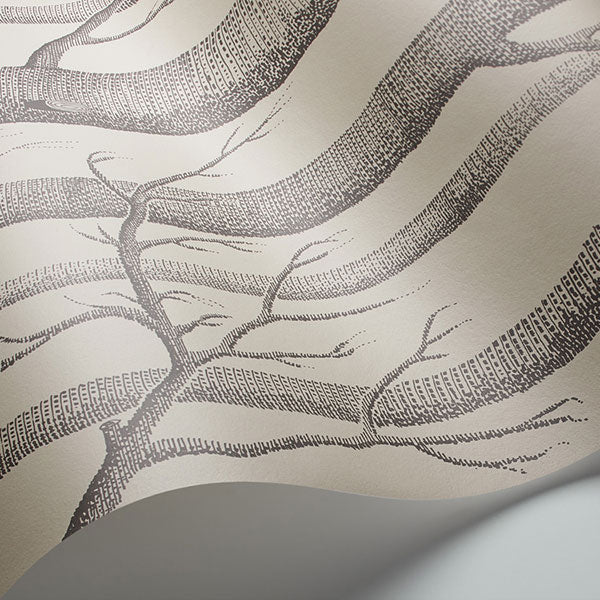 Woods in Linen & Charcoal Wallpaper by Cole & Son