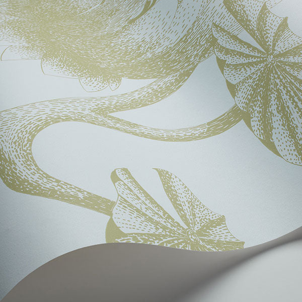Lily in Sage & Pale Blue Wallpaper by Cole & Son