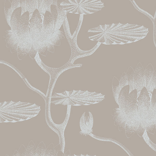 Lily in White & Grey Wallpaper by Cole & Son
