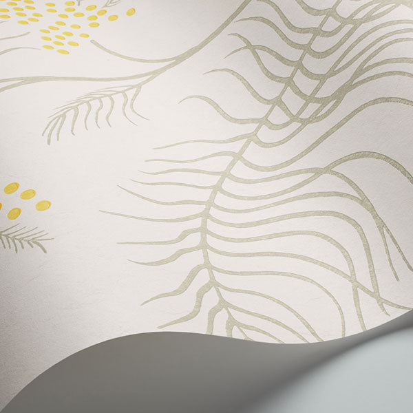 Cole & Son Wallpaper - New Contemporary II - Mimosa in White