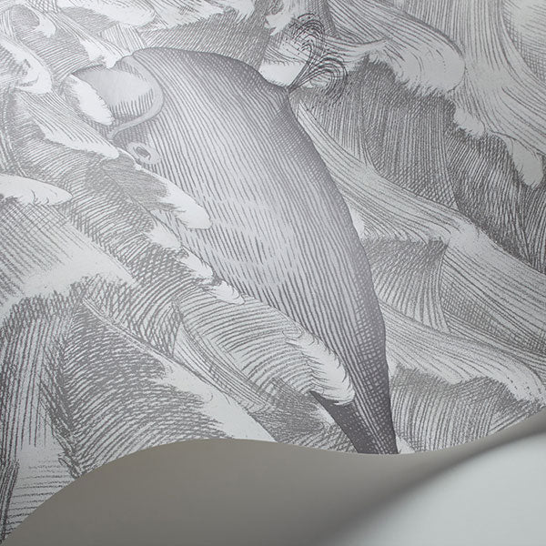 Melville in Black & White Wallpaper by Cole & Son