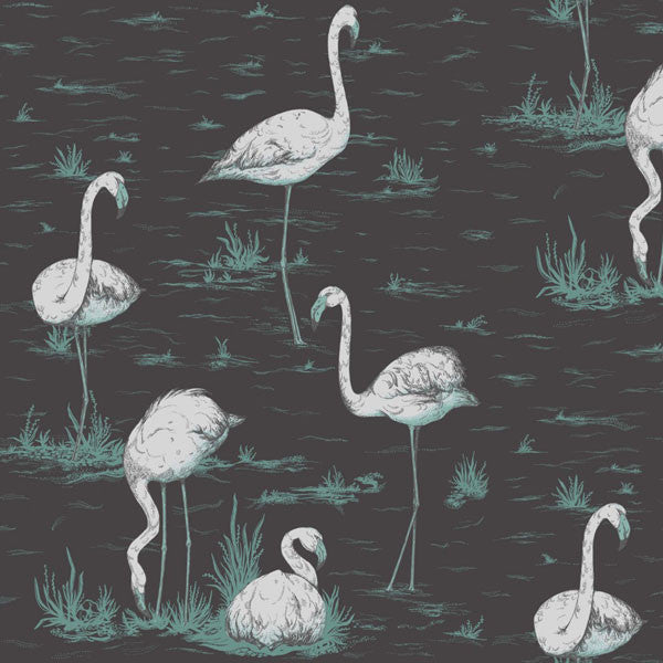Cole & Son - Contemporary Restyled - Flamingos - Vertigo Home