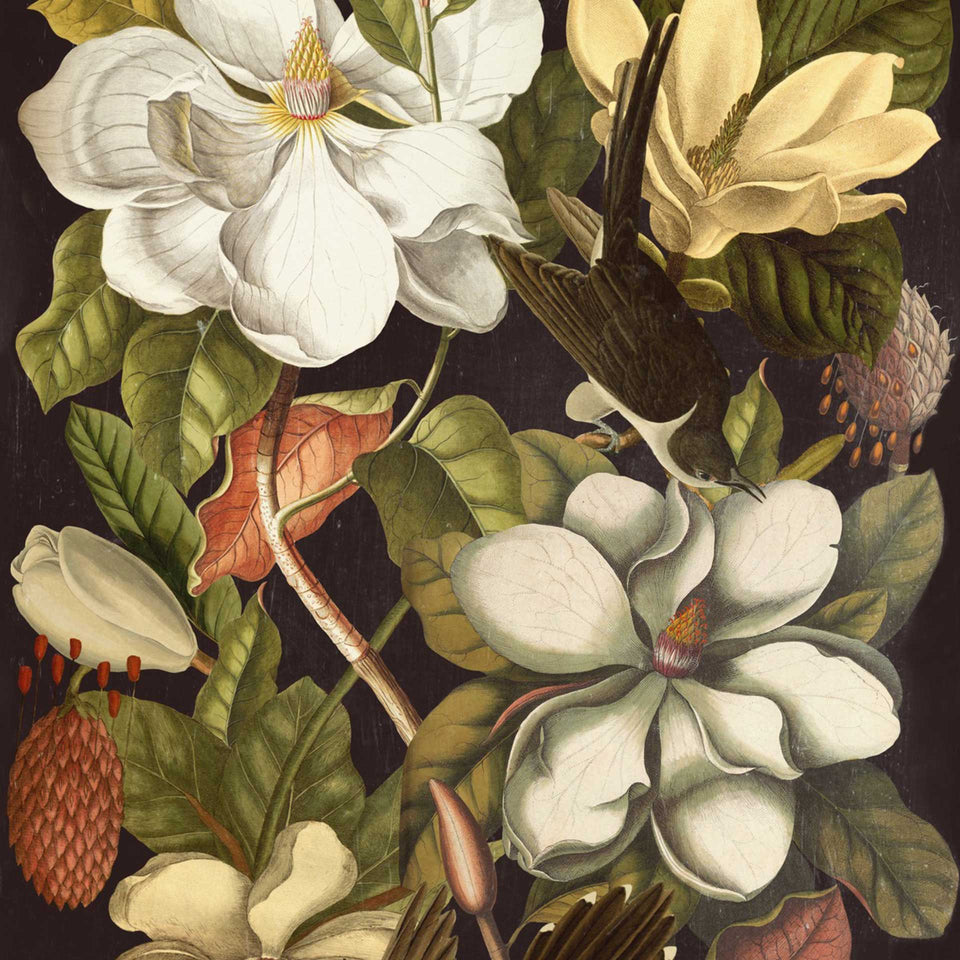Magnolia Wallpaper by MINDTHEGAP