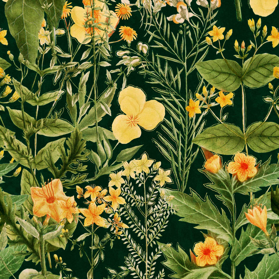 Mimulus Wallpaper by MINDTHEGAP