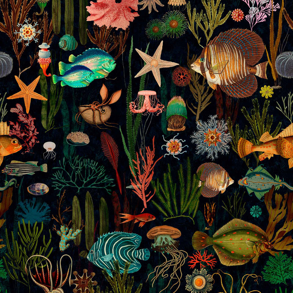 Oceania Wallpaper by MINDTHEGAP
