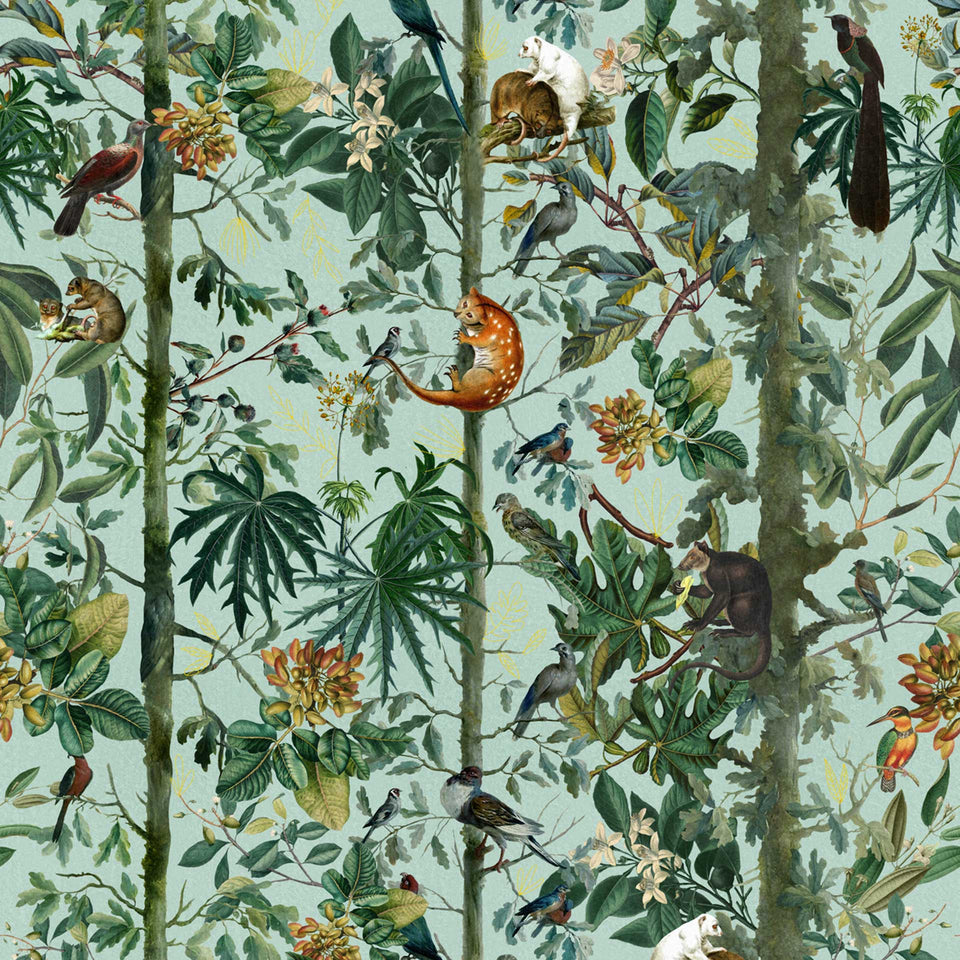 Wild Life of Papua Wallpaper by MINDTHEGAP