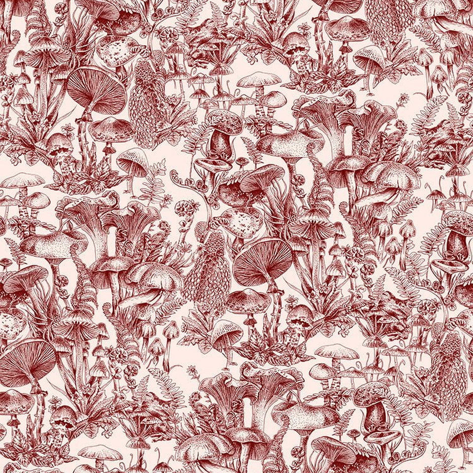 Cole & Son x Stella McCartney wallpaper by Cole & Son