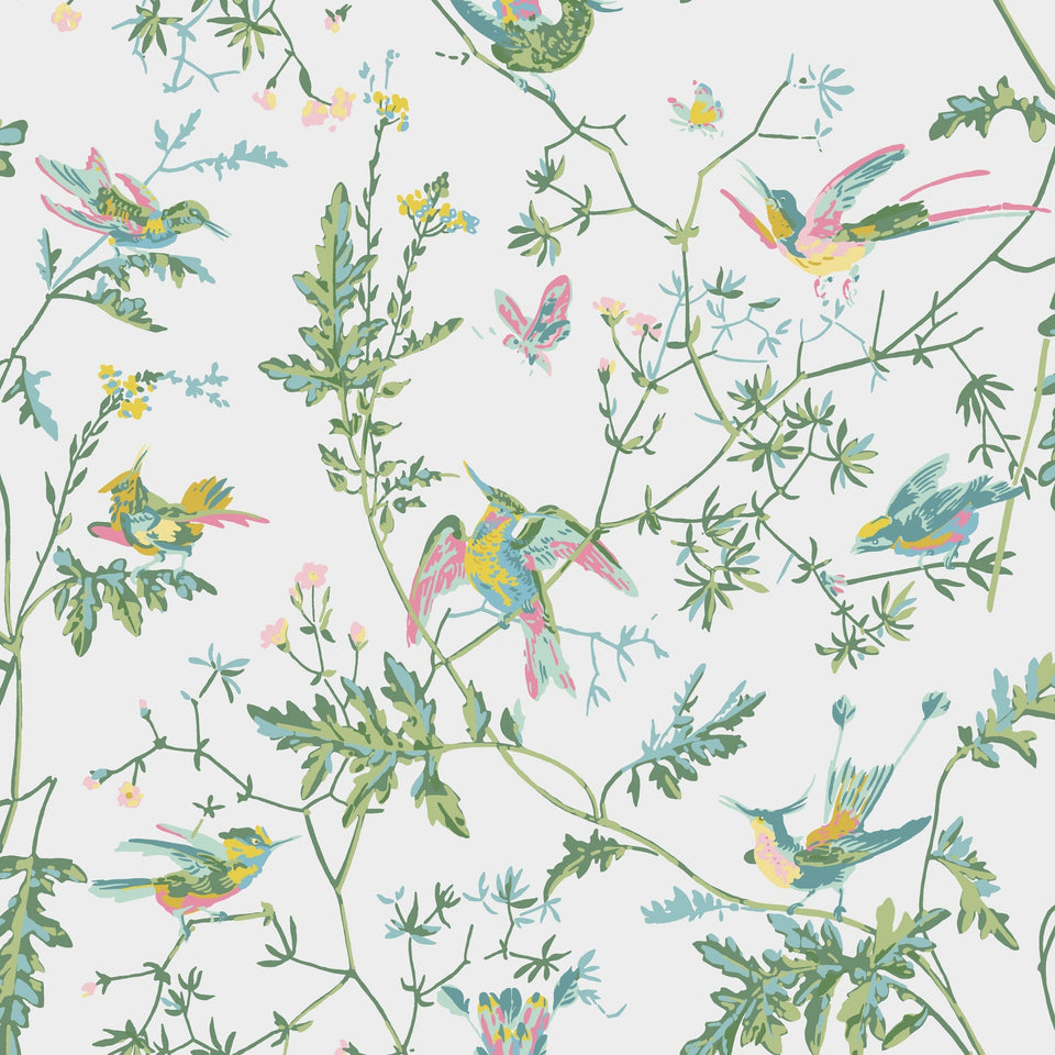 Hummingbirds in Green & Pink, Cole & Son Selection of Hummingbirds