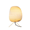 Scraplights Ebey Table Lamp by Graypants