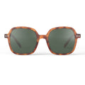 Havane #OFFICE Sunglasses by Izipizi