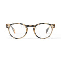 Light Tortoise #A Reading Glasses by Izipizi - Vertigo Home