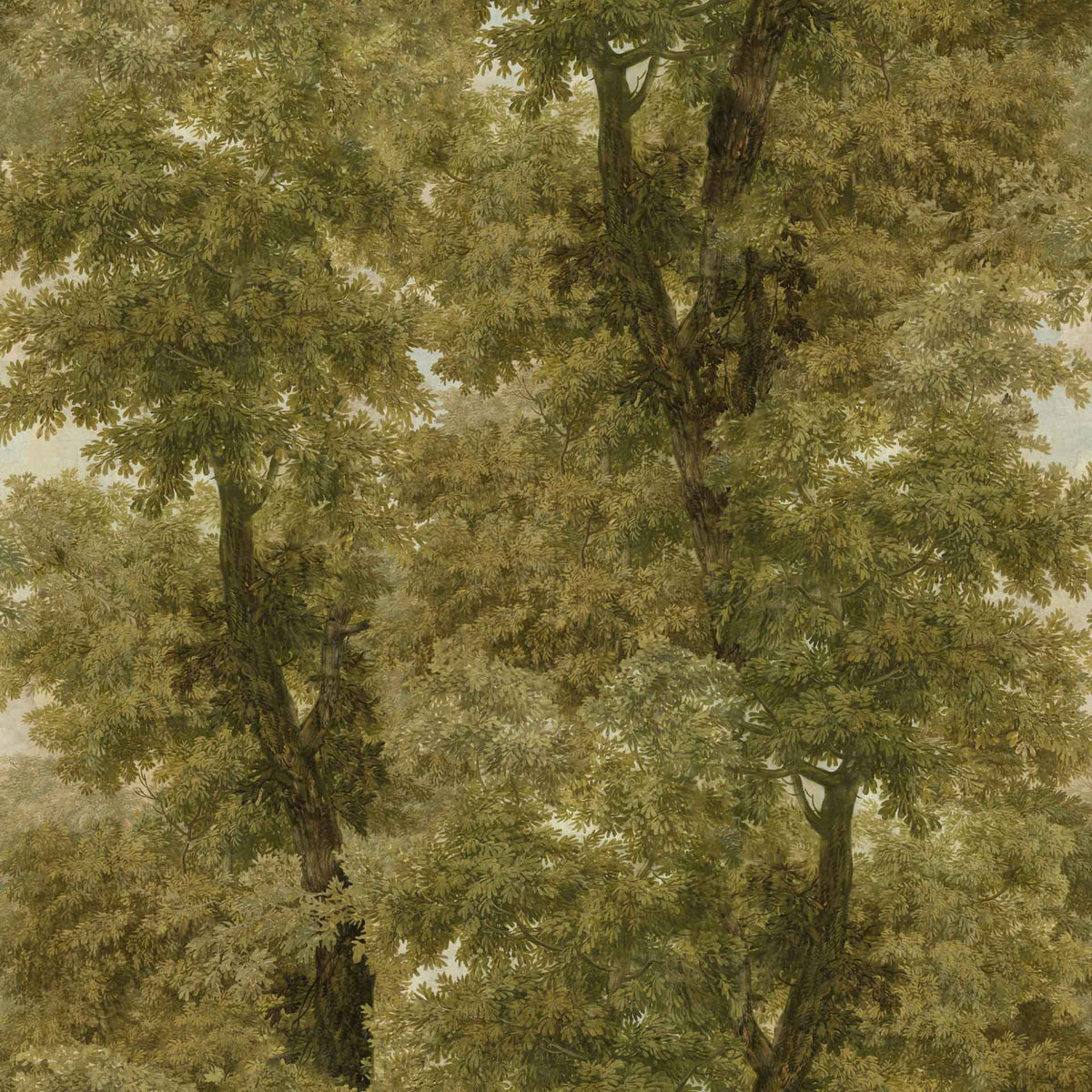 Branchy Wallpaper by MIND THE GAP