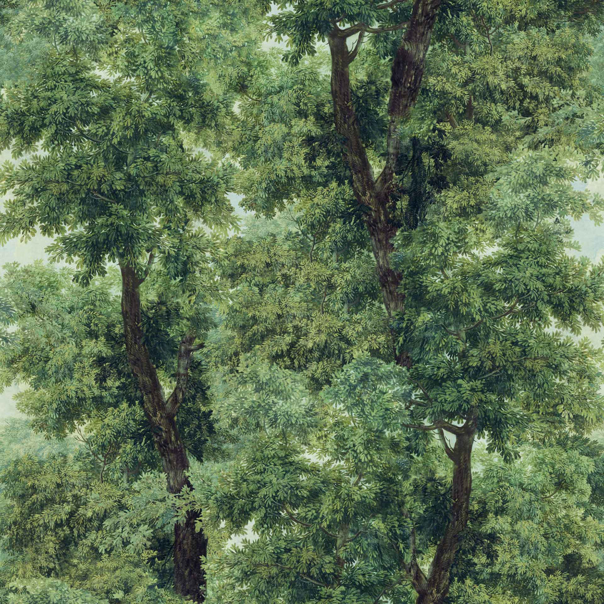 Branchy Wallpaper by MIND THE GAP