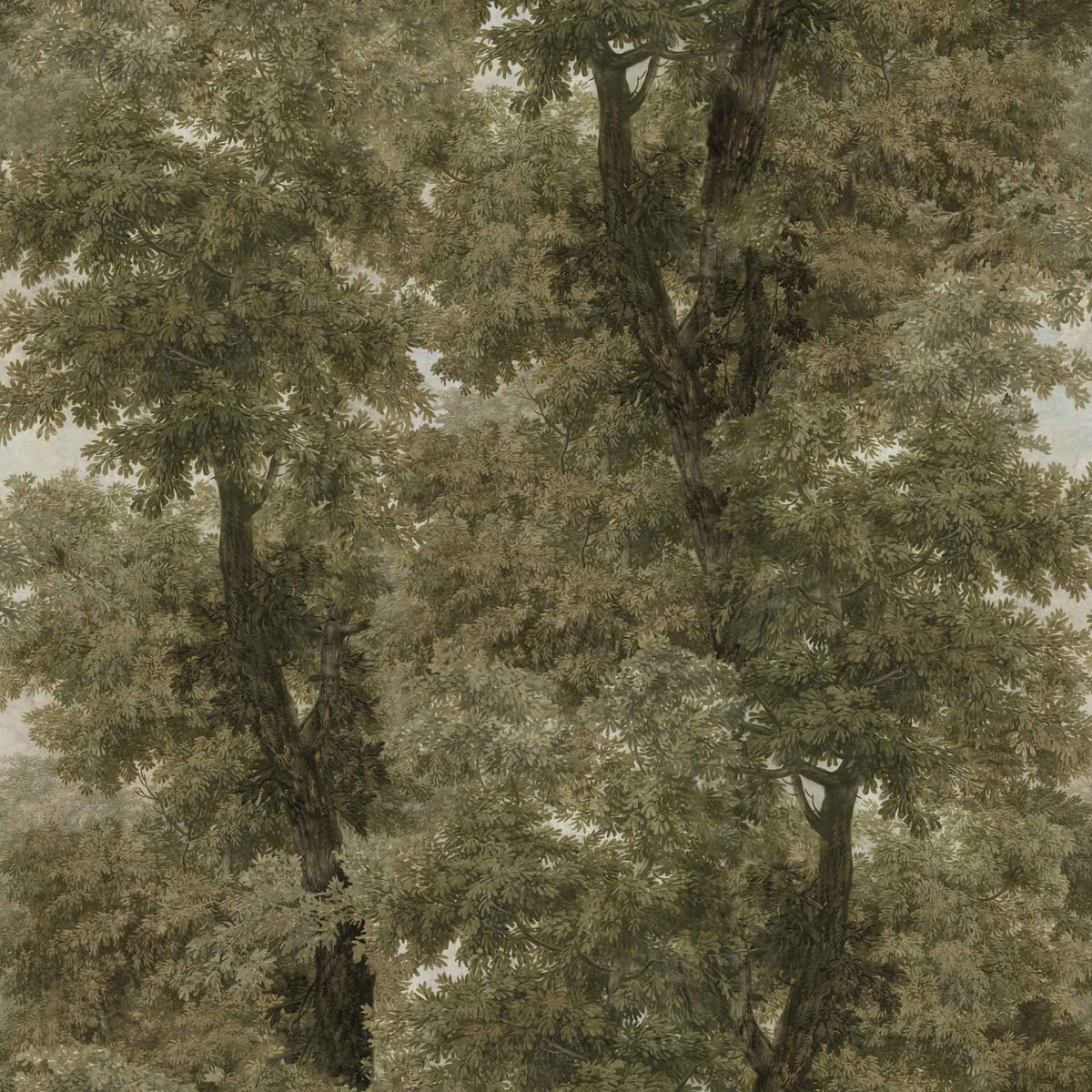 Branchy Wallpaper by MIND THE GAP
