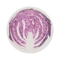 Chilewich Vegetables round placemat in Cabbage, viewed from above on a white background
