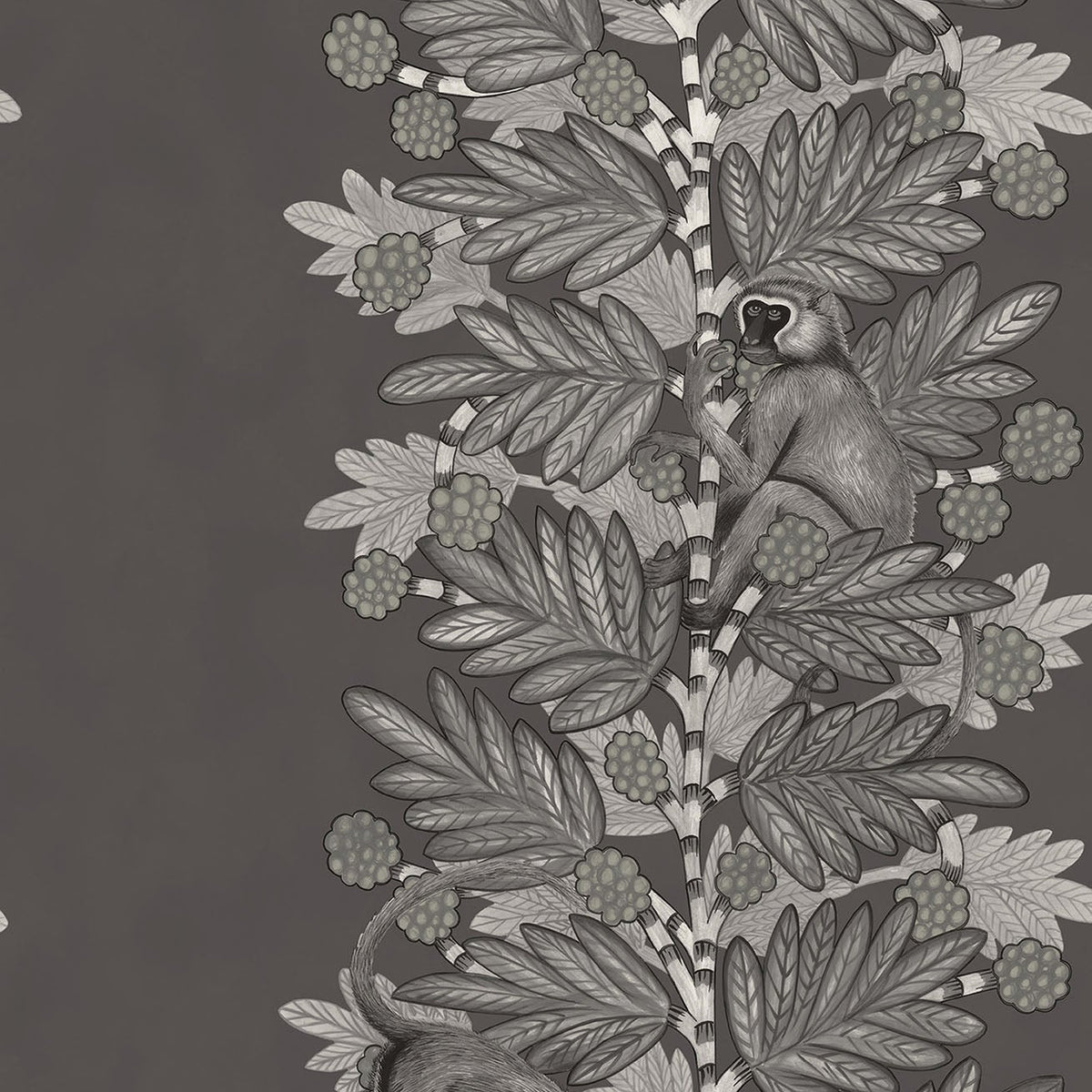 Cole & Son Acacia in Charcoal & Metallic Silver on Soot — pattern detail