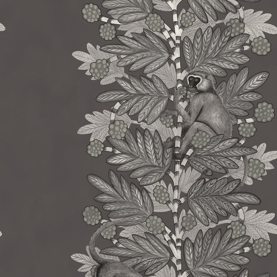 Cole & Son Acacia in Charcoal & Metallic Silver on Soot — pattern detail
