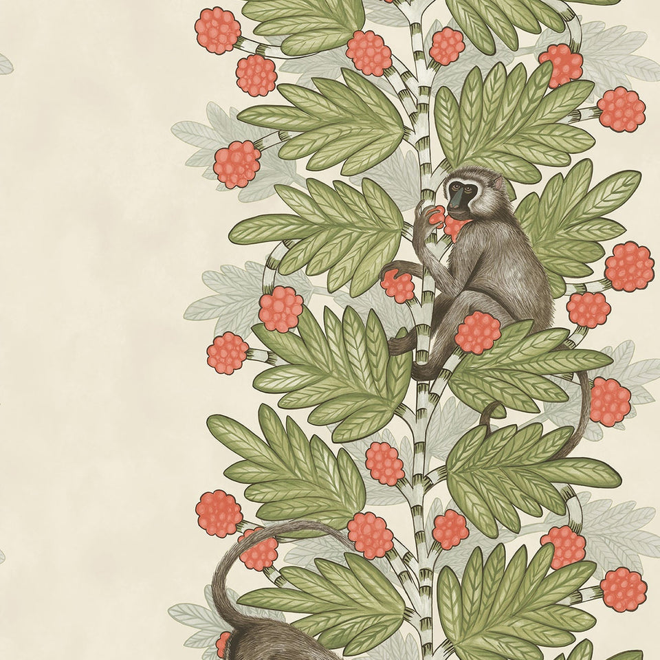 Cole & Son Acacia in Olive & Coral on Parchment — pattern detail
