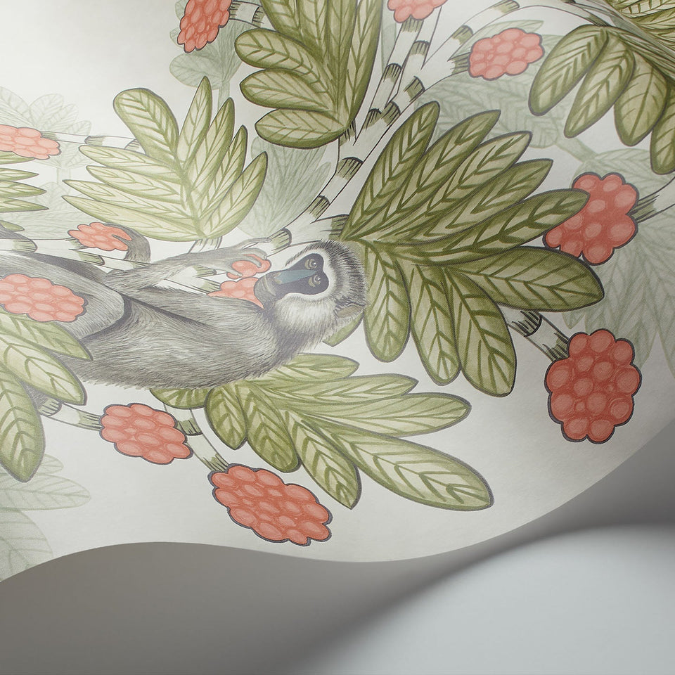 Cole & Son Acacia in Olive & Coral on Parchment — pattern detail