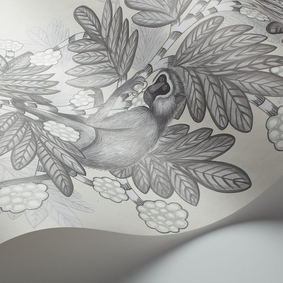 Cole & Son Acacia in Soot & Snow on Parchment — pattern detail