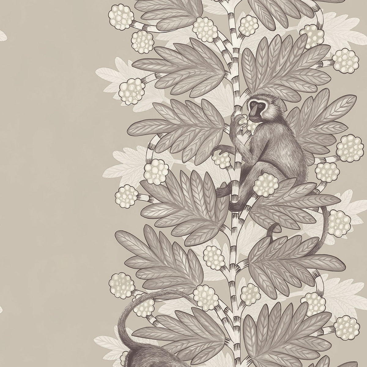 Cole & Son Acacia in Taupe & White on Stone — pattern detail