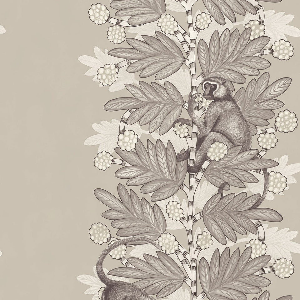 Cole & Son Acacia in Taupe & White on Stone — pattern detail