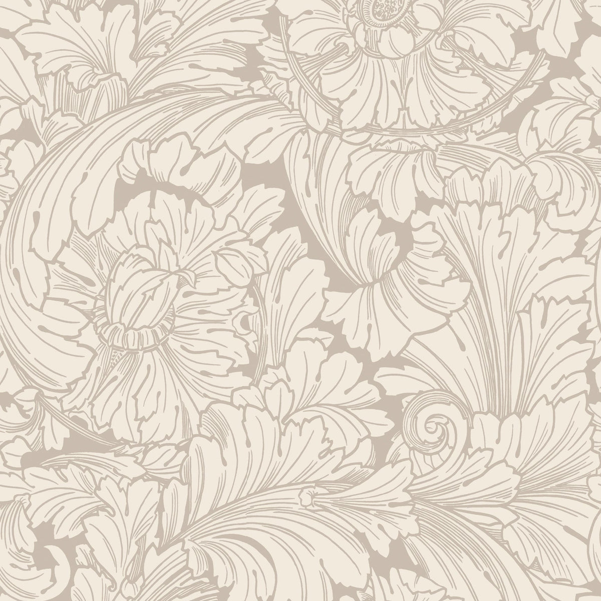 Cole & Son Acanthus in Cream & Pebble — pattern detail