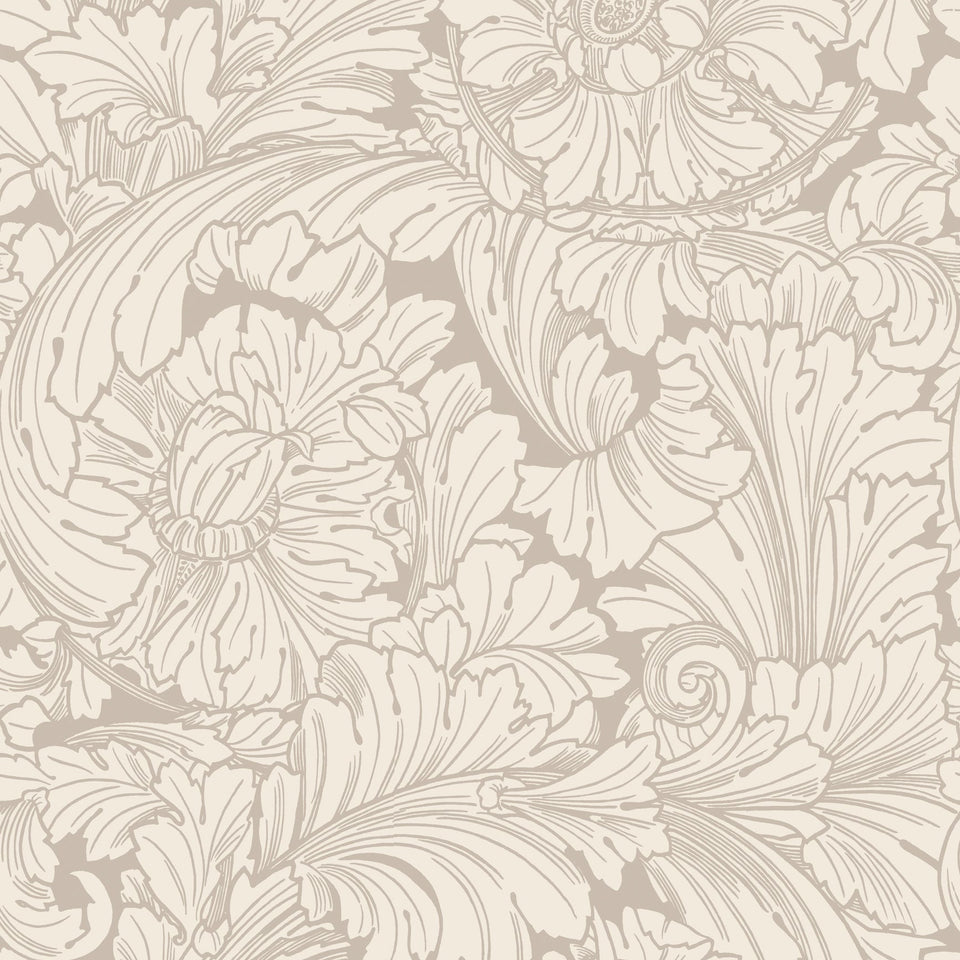 Cole & Son Acanthus in Cream & Pebble — pattern detail