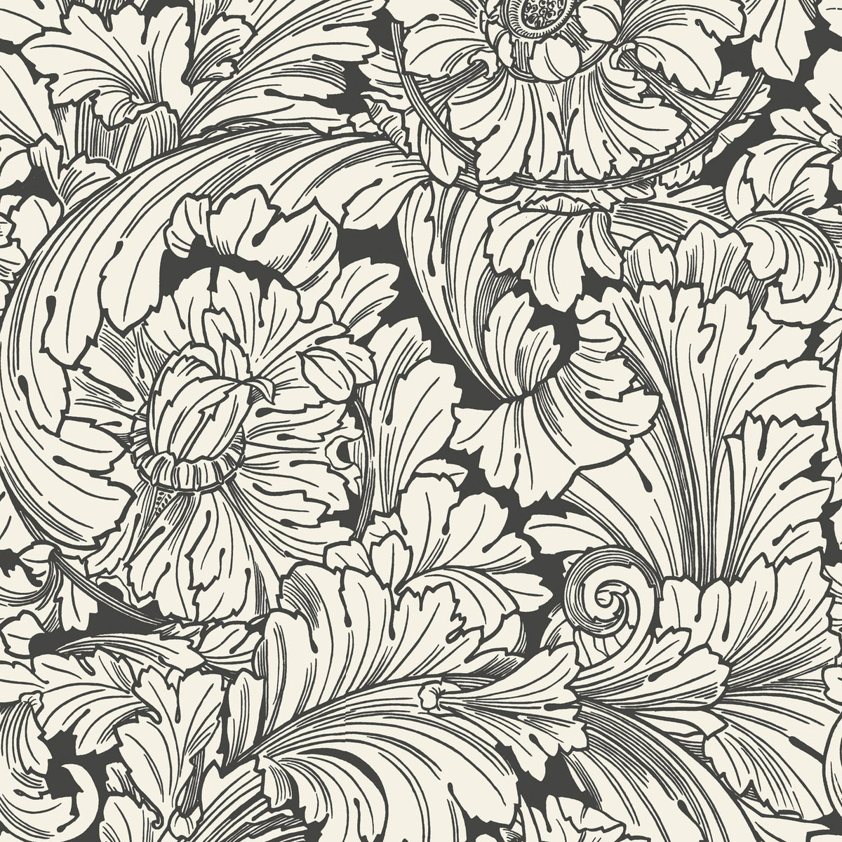 Cole & Son Acanthus in Soot & Snow — pattern detail