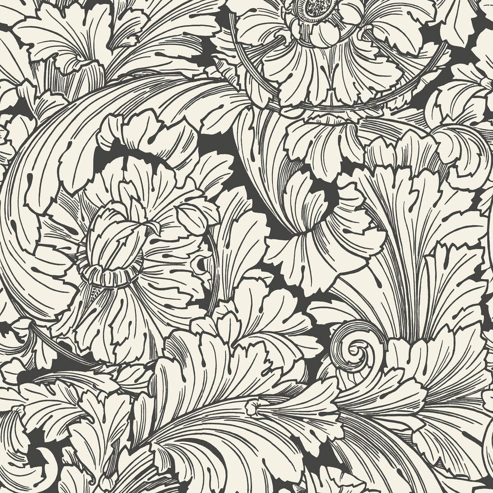 Cole & Son Acanthus in Soot & Snow — pattern detail