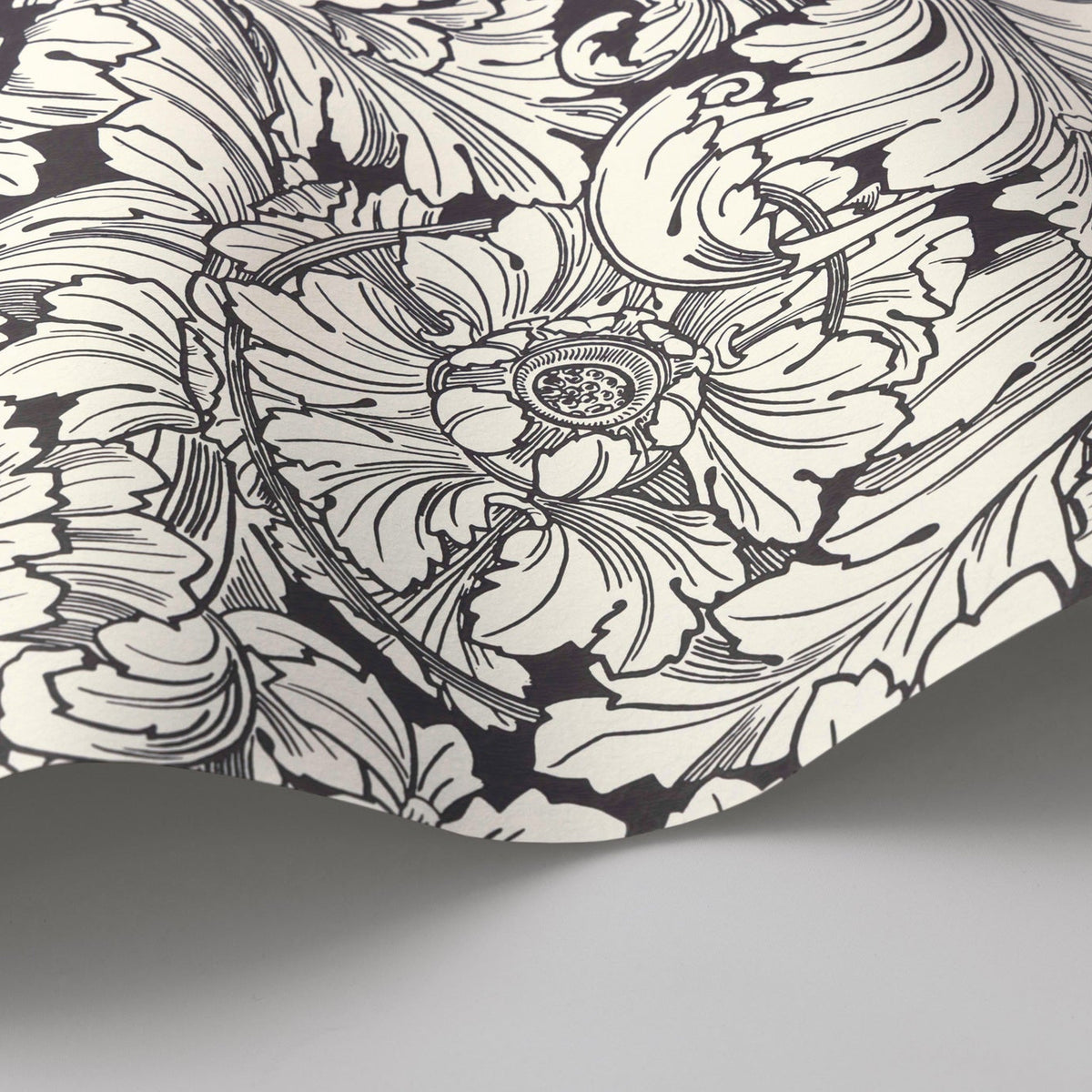 Cole & Son Acanthus in Soot & Snow — pattern detail
