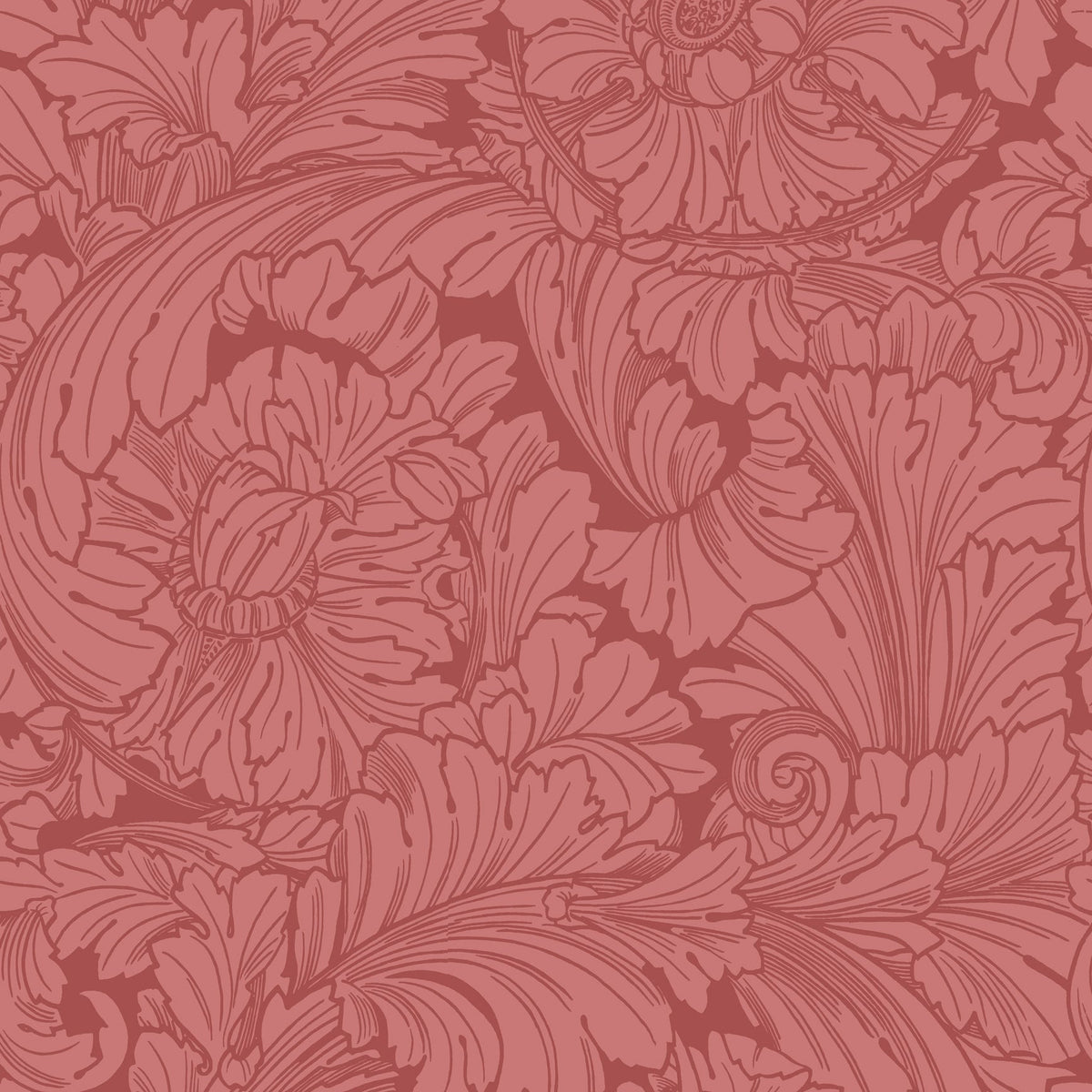Cole & Son Acanthus in Stately Home Red — pattern detail
