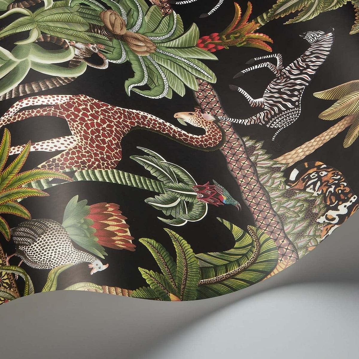 Cole & Son Afrika Kingdom in Olive Green & Spring Green on Black — pattern detail