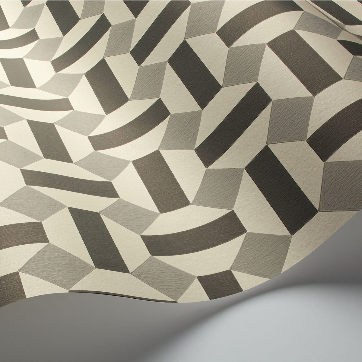 Cole & Son Alicatado in Soot on Snow — pattern detail