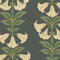 Cole & Son Angel's Trumpet in Cream & Olive Green on Charcoal — pattern detail
