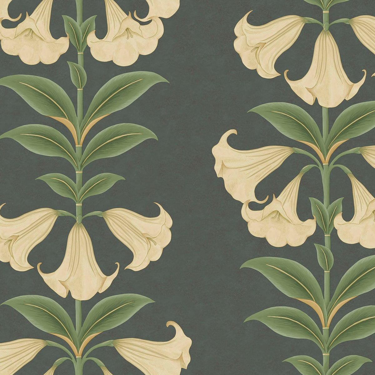 Cole & Son Angel's Trumpet in Cream & Olive Green on Charcoal — pattern detail