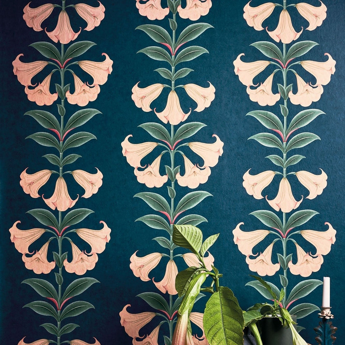 Cole & Son Angel's Trumpet in Coral & Viridian on Ink — room setting