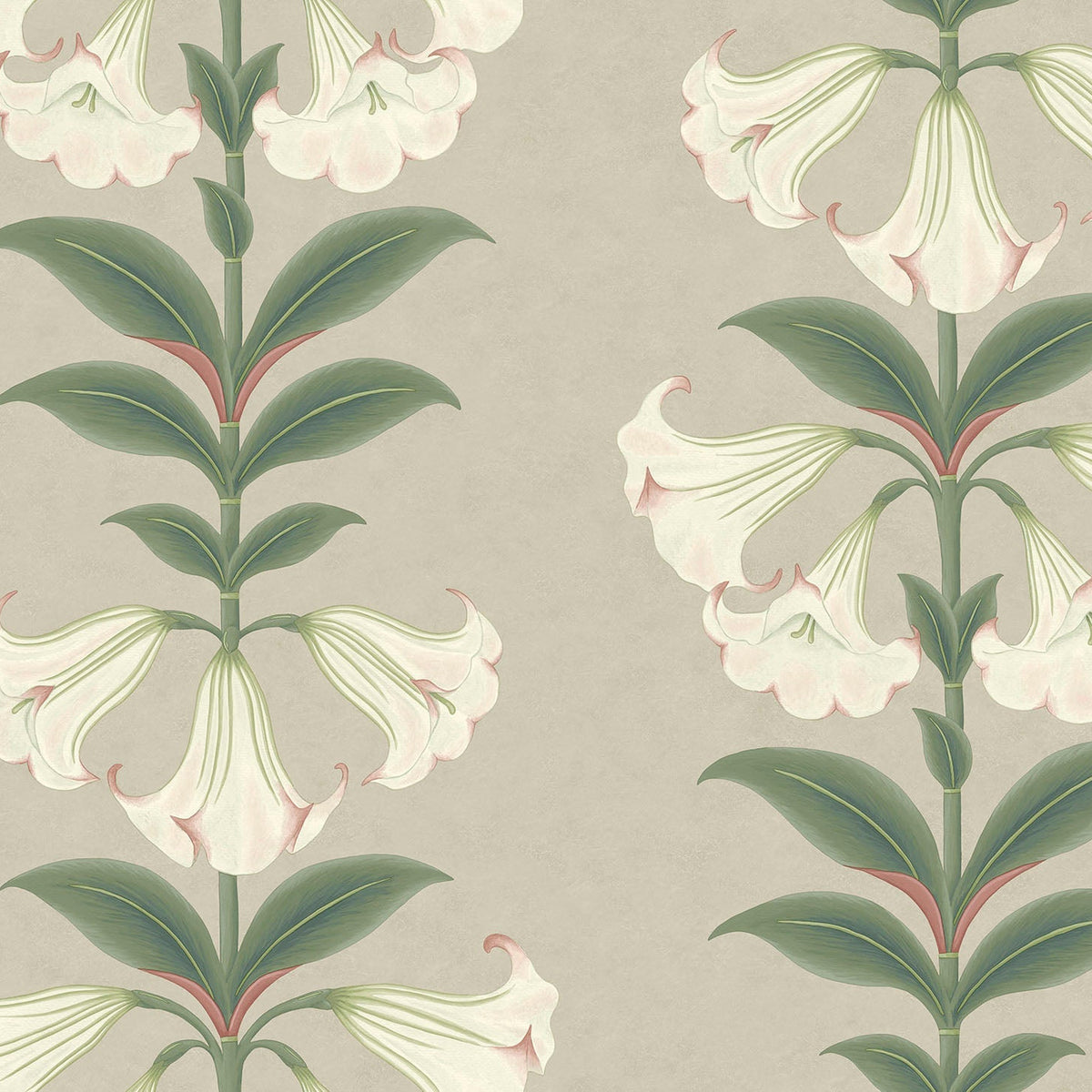 Cole & Son Angel's Trumpet in Chalk & Sage on Stone — pattern detail