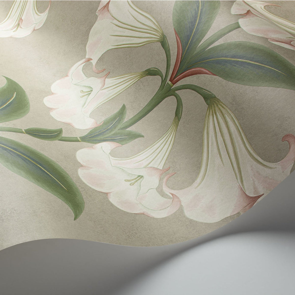 Cole & Son Angel's Trumpet in Chalk & Sage on Stone — pattern detail
