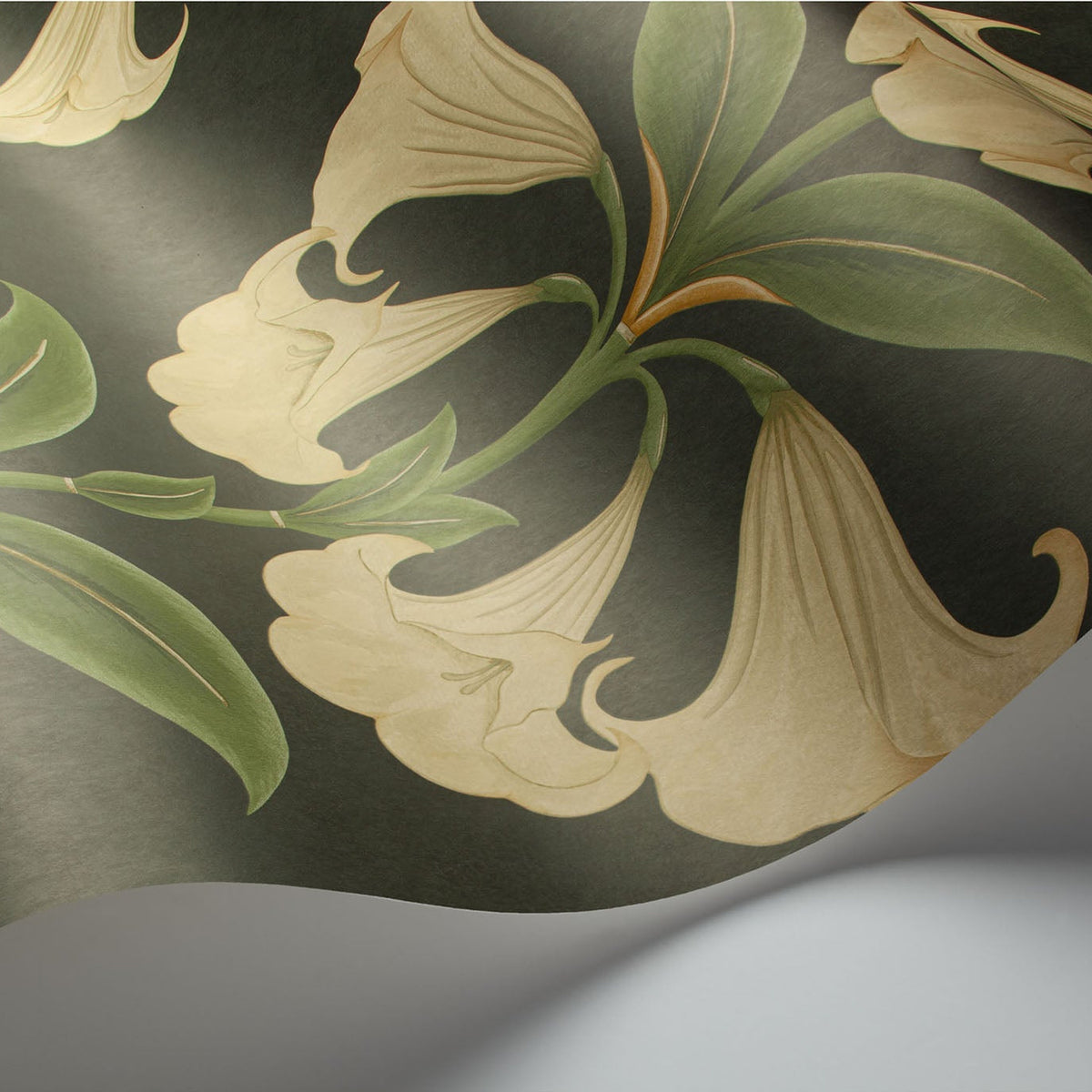Cole & Son Angel's Trumpet in Cream & Olive Green on Charcoal — pattern detail