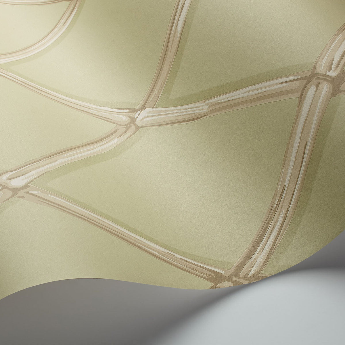Cole & Son Bagatelle wallpaper in Olive — detail