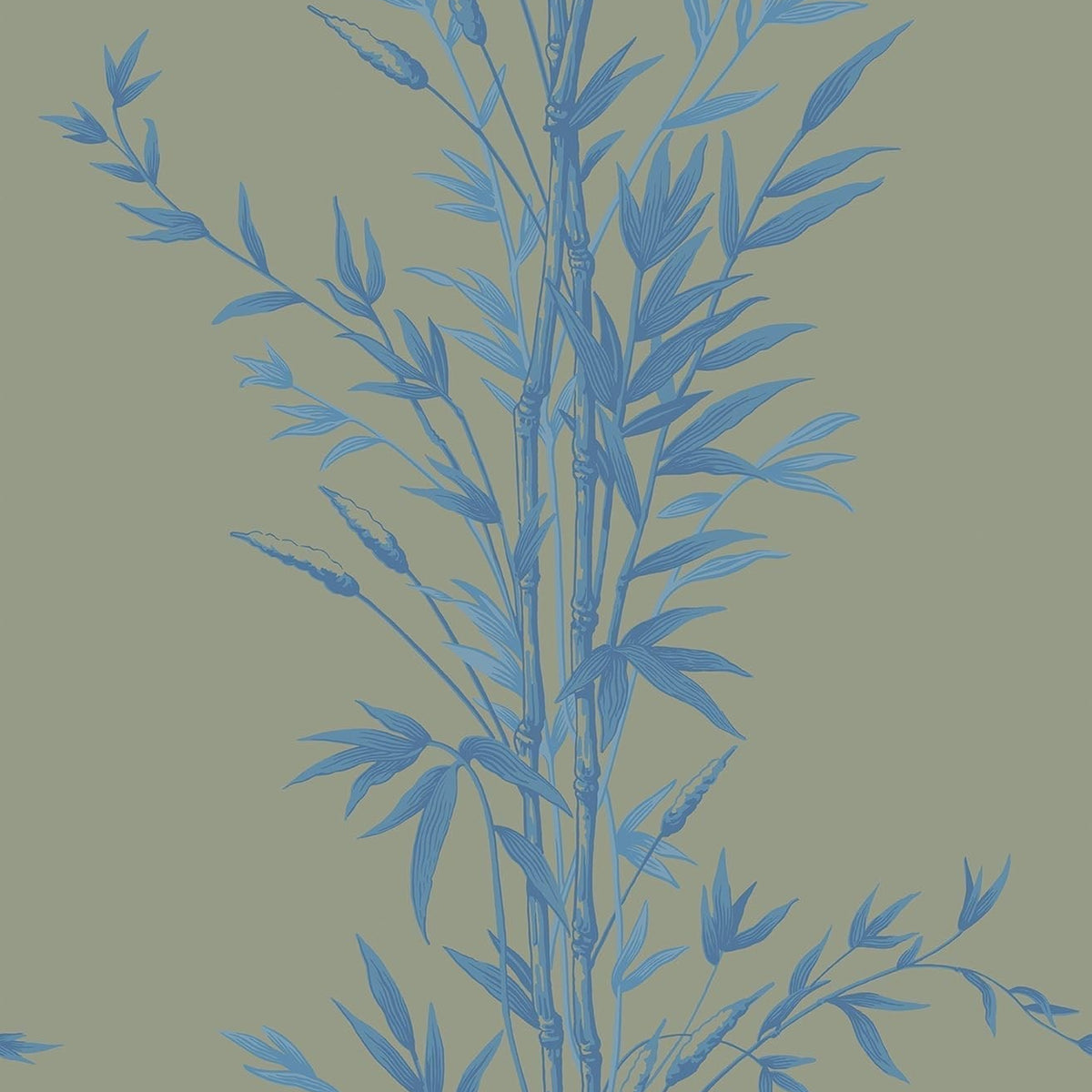 Cole & Son Bamboo wallpaper in China Blue on Old Olive — pattern